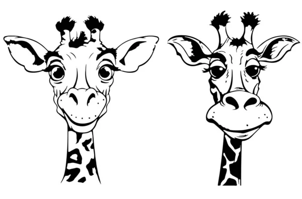 Disegno Bianco Nero Schizzo Due Giraffe Stile Illustrazione Bambini Illustrazione — Vettoriale Stock