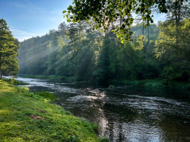 Nehir, sabah güneşleri ve ormanla yaz manzarası inanılmaz. Moravice Nehri, Çek Cumhuriyeti, Avrupa