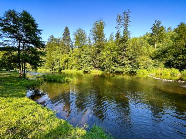 Nehir ve ormanlı güzel bir yaz manzarası. Moravice Nehri, Çek Cumhuriyeti, Avrupa