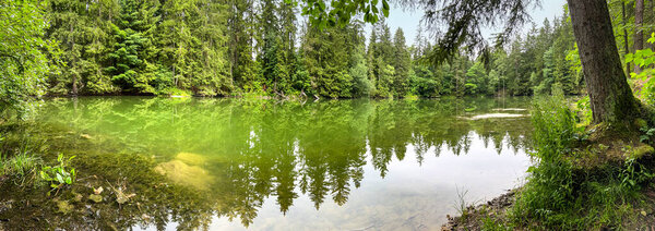 Panoramic shot of lake with emerald green water in middle of spruce forest - Czech Republic, Europe