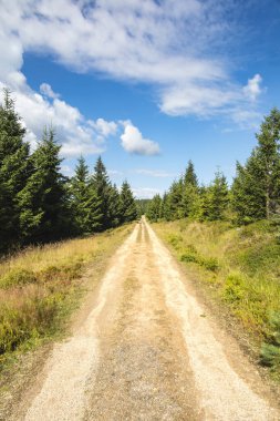Düz yaz yolu Jizera Dağları 'nın eteklerinde, beyaz bulutlu mavi gökyüzü altında Çek Cumhuriyeti, Avrupa