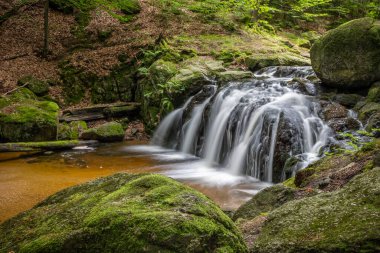 Yaz ormanlarında uzun şelaleler - Jizera Dağları, Çek Cumhuriyeti, Avrupa