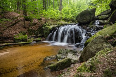 Yaz ormanlarında orman deresi şelaleleri - Jizera Dağları, Çek Cumhuriyeti, Avrupa