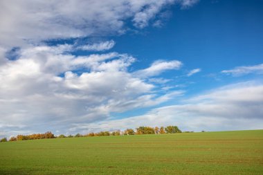 Mavi gökyüzü altındaki tarlalar ve ağaçlarla dolu renkli sonbahar manzarası - Çek Cumhuriyeti, Avrupa.