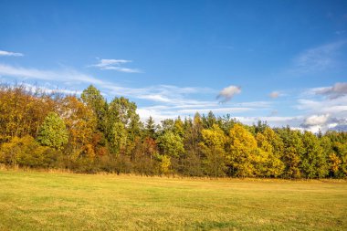 İnanılmaz sonbahar manzarası çayır ve mavi gökyüzünün altında bulutlu ağaçlar - Çek Cumhuriyeti, Avrupa