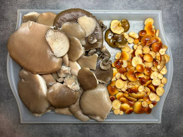 Essbare Pilze Herbst Winter Auf Tablett Der Küche Ergebnis Der — Stockfoto