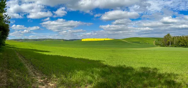 Καταπληκτικό Πολύχρωμο Πανόραμα Της Εαρινής Αγροτικής Υπαίθρου Πράσινα Και Κίτρινα — Φωτογραφία Αρχείου