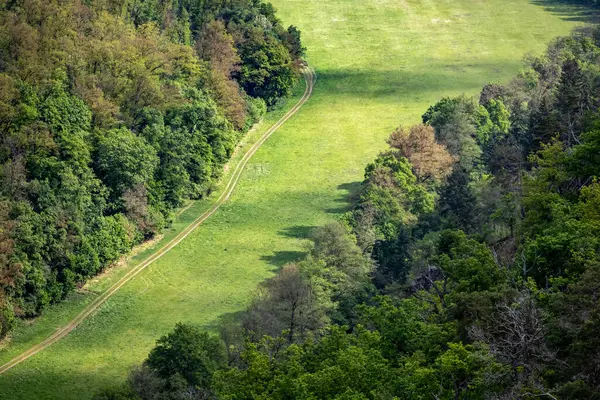 Bird Eye View Green Meadow Dirty Path Spring Woods Czech — Stock Fotó