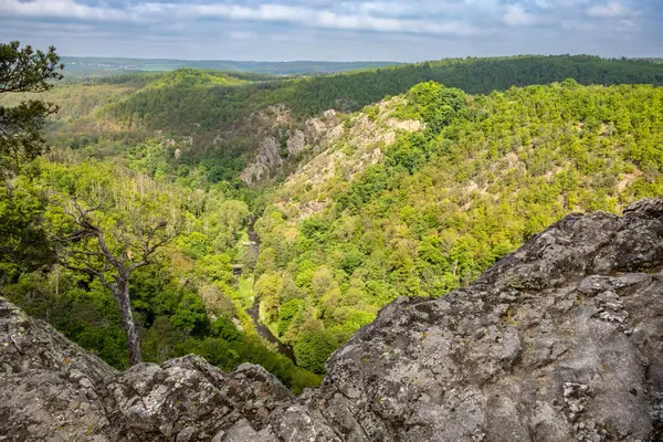 在多云的天空下 岩石对河流和周围春天森林的看法 捷克共和国 — 图库照片#