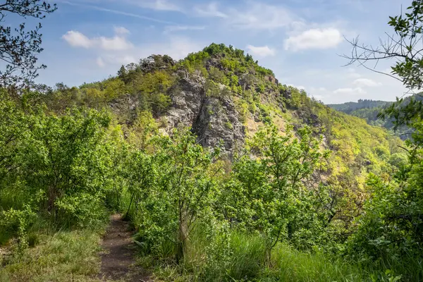 Yeşil Çalılar Ağaçlar Arasında Mavi Gökyüzünün Altındaki Kayalık Tepeye Uzanan — Stok fotoğraf