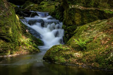 Şelaleler yosun kaplı kayaların arasına örülmüş. Yaz ormanlarından güzel bir manzara. Resovske şelaleleri, Huntava nehri, Nizky Jesenik dağ sırası, Çek Cumhuriyeti, Avrupa