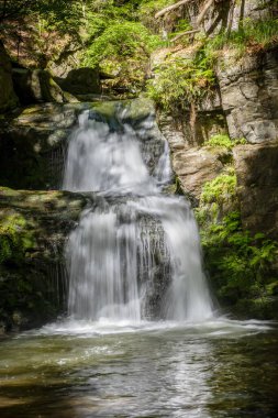 Güneşli ormandaki Stony Creek 'te güzel bir şelale - Resovske şelalesi, Huntava nehri, Nizky Jesenik dağ sırası, Çek Cumhuriyeti, Avrupa