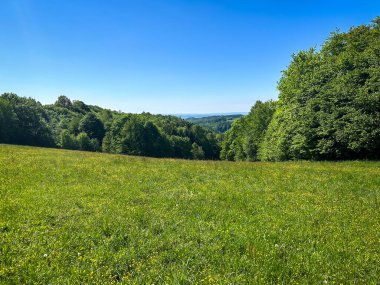 Mavi gökyüzünün altındaki ormanla çevrili, uzak manzara manzaralı, Çek Cumhuriyeti, Avrupa