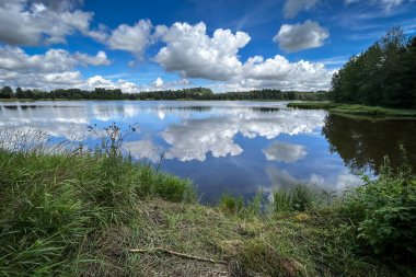 Göletli ve ormanlı yaz manzarası harika mavi gökyüzü altında beyaz bulutlar - Çek Cumhuriyeti, Avrupa