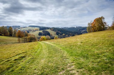 Çayırlarda otlakların arasında sonbahar manzarasında çok çeşitli tepe manzaraları olan Çek Cumhuriyeti, Avrupa