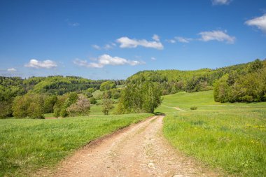 Resmedilmeye değer toprak bir yol berrak mavi gökyüzünün altındaki yeşil yeşil çimlerin arasından geçiyor, arkasında tepeler var, sükunet ve doğal güzelliği yakalıyor. Çek Cumhuriyeti.
