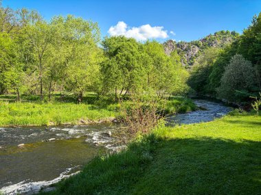 Bereketli yeşil ağaçlarla çevrili dolambaçlı bir nehrin manzarası dinginliğin ve doğanın ahenkli akışının özünü yakalıyor. Çek Cumhuriyeti.