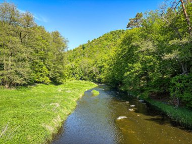 Oslava nehri ve açık mavi gökyüzünün altında derin yeşil ormanlar - Çek Cumhuriyeti, Avrupa