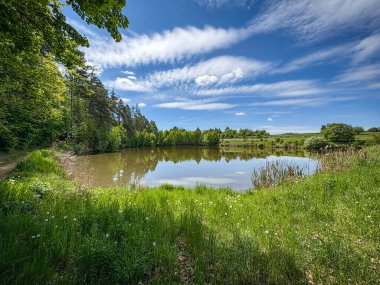 Mavi gökyüzünün altında muhteşem bir gölet - Çek Cumhuriyeti, Avrupa