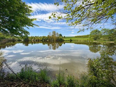 Göllü bahar manzarası, ağaçlar ve beyaz bulutlu mavi gökyüzü - Çek Cumhuriyeti, Avrupa