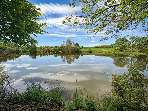 Göllü bahar manzarası, ağaçlar ve beyaz bulutlu mavi gökyüzü - Çek Cumhuriyeti, Avrupa