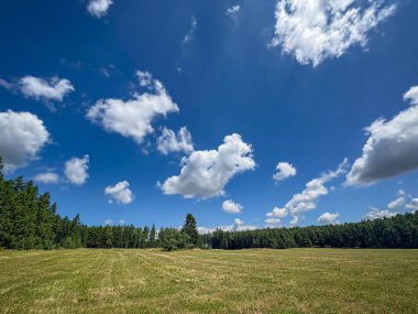 Geniş açık çayır, kabarık bulutlarla bezenmiş parlak mavi gökyüzünün altında geniş bir özgürlük duygusu ve doğanın güzelliğiyle bağlantı hissi uyandırır. Çek Cumhuriyeti, Avrupa.