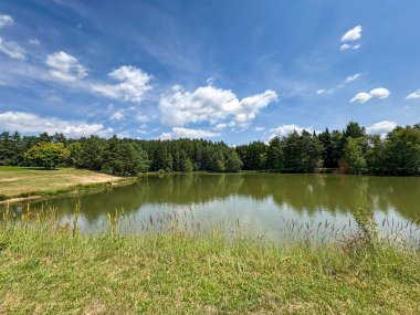 Geniş gökyüzü altında doğanın güzelliğini yansıtan canlı ormanlarla kaplı sakin gölet, rahatlama ve tefekkür için mükemmel. Çek Cumhuriyeti, Avrupa.