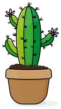 Kahverengi tencerede pembe çiçekli yeşil kaktüs