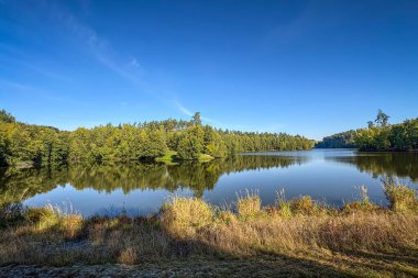 Mavi gökyüzünün altındaki ormanlarla çevrili güzel gölün sabah manzarası. Güzel bir manzarada yaz ve sonbahar. Çek Cumhuriyeti, Avrupa