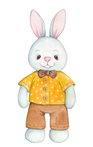 Watecolor Illustration Cute Pretty Bunny Rabbit Hare Toy Plush Cartoon — Stock Photo, Image