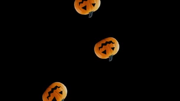 Pumpkins Flowing Transparent Background — Stock Video