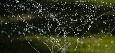 macro shoot on splashing water drops clipart