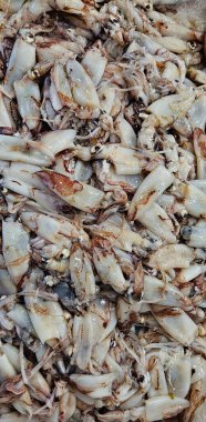 Balık pazarındaki mürekkep balıkları.