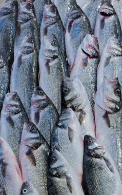 taze balık, Balık pazarı