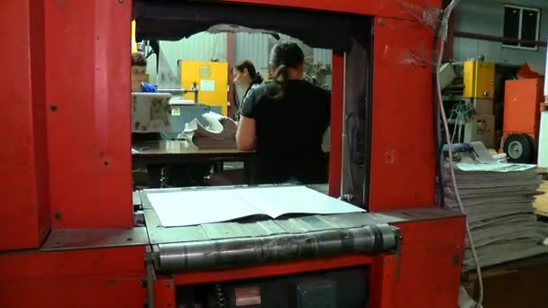 造纸机 印刷厂 用于报纸和杂志的制作 机器造纸 商店和报纸的生产加工次生资源 废纸回收大 — 图库视频影像