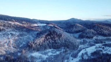 Kış ormanlarındaki Karpat Dağları 'nın beyaz karla kaplı tepelerini kaplayan yoğun bir ladin ormanı, UHD 4K video. Yüksek kalite 4k görüntü