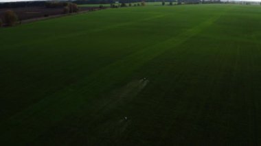 agrodrone treats fields with insect repellant from the air. Sprayers Agrodrone live.Quadcopter flight over the field, help in fertilizer, pesticides. Top view of sprays fertilizer on agricultural