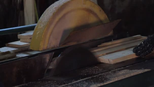 木製の床工場の生産ライン Cnc自動木工機械 工業用だ 木工機械だ 高品質のフルHd映像 — ストック動画