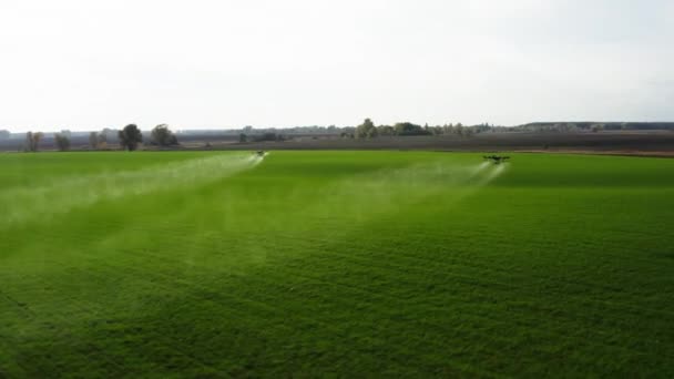 Agrodron Behandlar Åkrar Med Insektsmedel Från Luften Sprutor Agrodrone Lever — Stockvideo