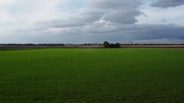 agrodrone treats fields with insect repellant from the air. Sprayers Agrodrone live.Quadcopter flight over the field, help in fertilizer, pesticides. Top view of sprays fertilizer on agricultural