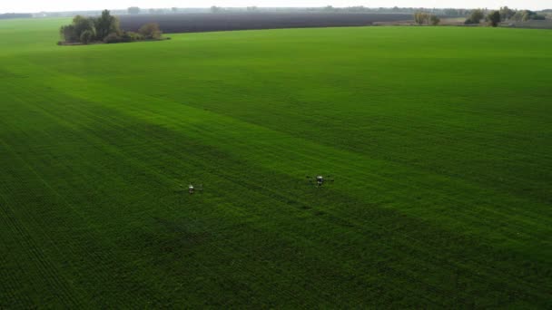 アグロドローンは空気から防虫剤でフィールドを扱います スプレイヤーズアグロドローンは 農薬の助けを借りて フィールド上のQuadcopter飛行を生きています 農業における噴霧肥料のトップビュー — ストック動画