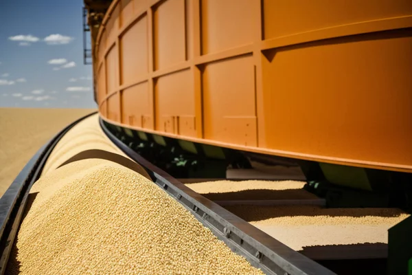 Grain exports. Wheat. Grain deal, shipment and transportation of farm and agrarian products and crops, aid to poor countries, famine, business. Agricultural income .