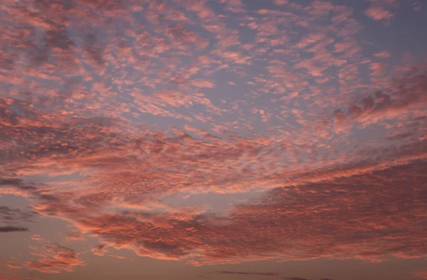 Όμορφα Σκορπισμένα Σύννεφα Πορτοκαλί Αυγή Στον Ουρανό — Φωτογραφία Αρχείου