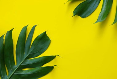 Sarı zemin üzerine yeşil yaprakları