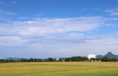  Mavi gökyüzü ve bulutlu kırsal alan güneşli bir gün