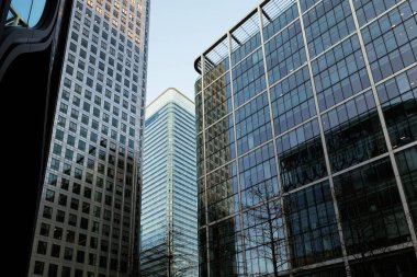 Modern ofis binaları kanarya iskelesinde birbirlerinin cam cephelerine yansıyor.