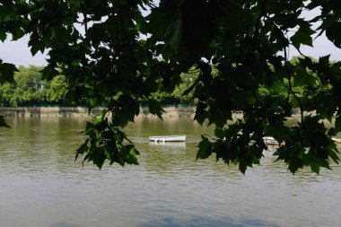 Sakin bir nehirde süzülen yalnız bir kayığın huzurlu manzarası, sarkan ağaçların canlı yeşil yaprakları tarafından çerçevelenmiş.