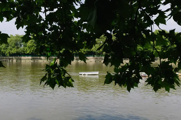 Sakin bir nehirde süzülen yalnız bir kayığın huzurlu manzarası, sarkan ağaçların canlı yeşil yaprakları tarafından çerçevelenmiş.