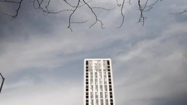 Modern mimari, bulutlu gökyüzüne ve çıplak ağaç dallarına karşı yükselen beyaz bir gökdelenle doğayı birleştirir.