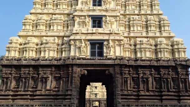 Temple Jalagandeeswarar Vellore Tamil Nadu Sculpture Dans Porche Gauche Entrée — Video